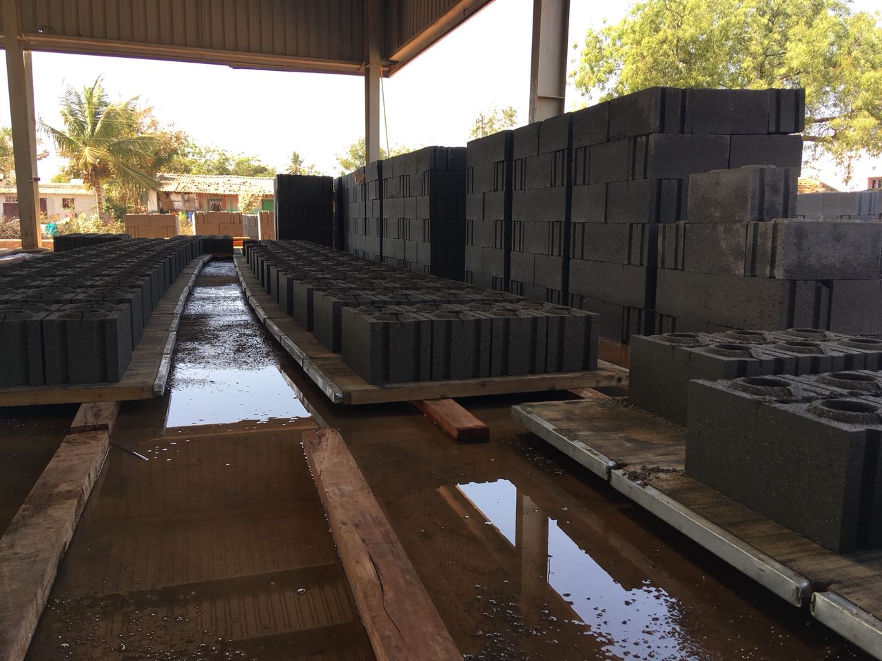 Curing yard